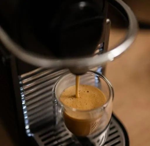 Le Coq Chiron - Ac - Wi-fi - Border דירה מונטה קרלו